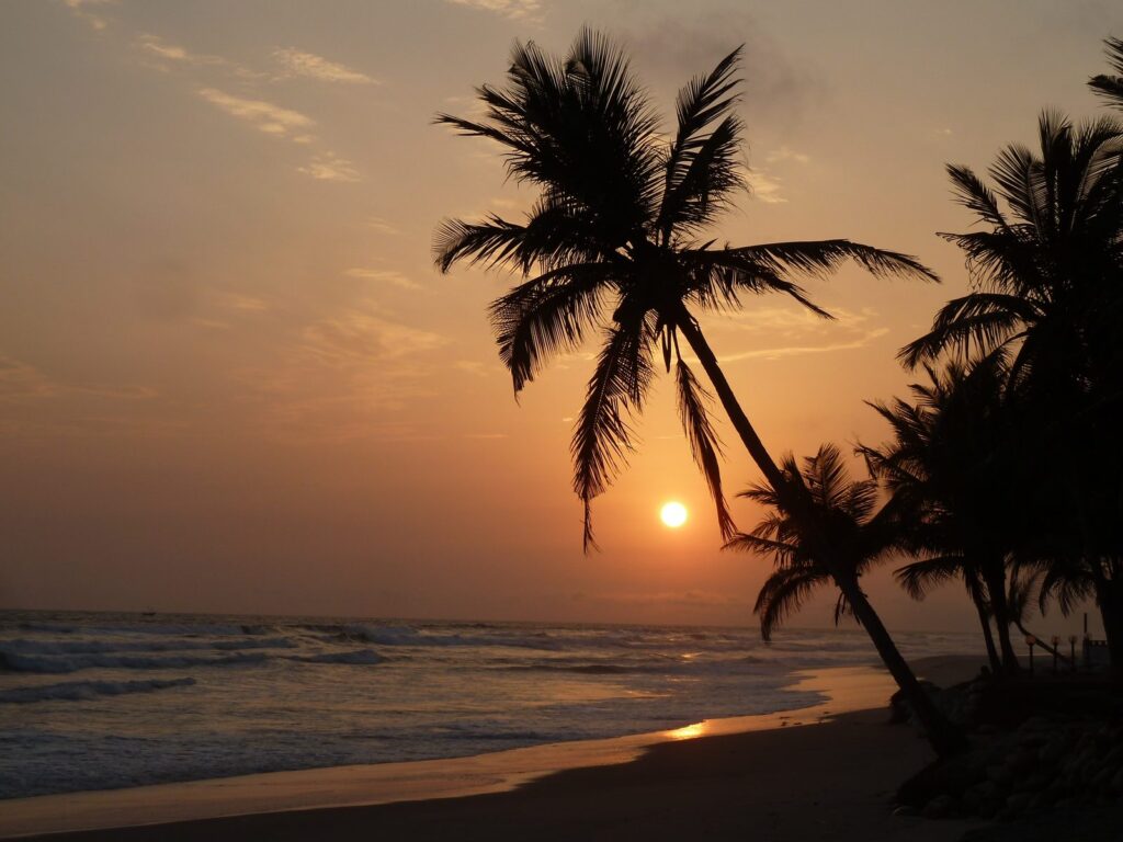 Atardecer entre cocoteros en la costa de Costa de Marfil