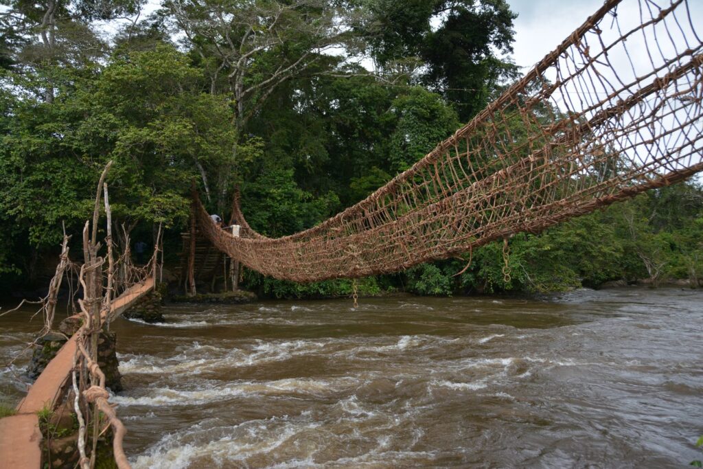 Liana bridge over a river, western Côte d'Ivoire